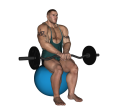 Reverse Curl - Fitness Ball EZ Bar Close Grip